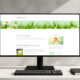 beautiful pro wordpress theme and responsive website template