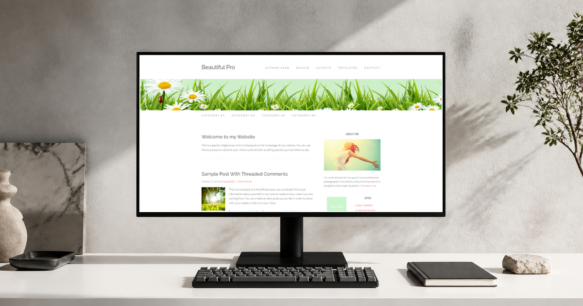 beautiful pro wordpress theme and responsive website template