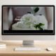 boss pro wordpress theme and responsive website template