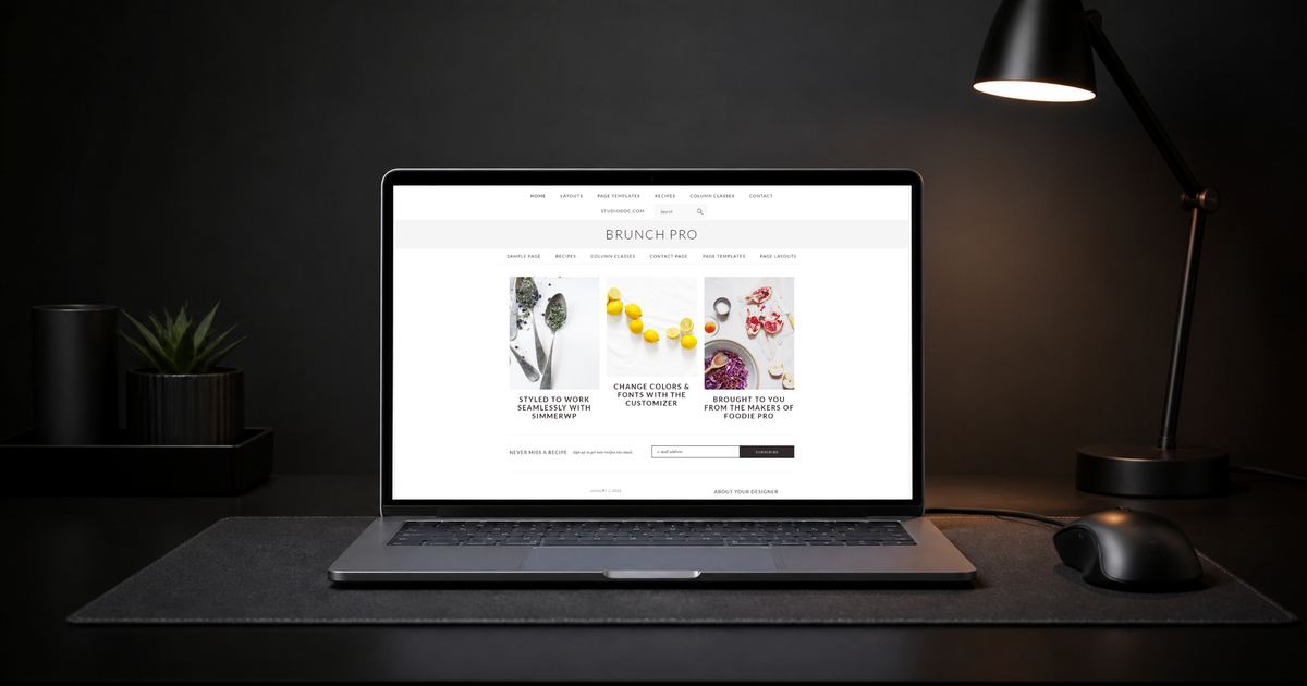 brunch pro wordpress theme layout and design preview