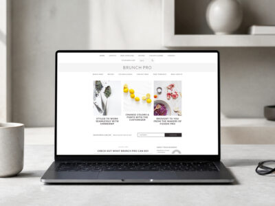 brunch pro wordpress theme and responsive website template