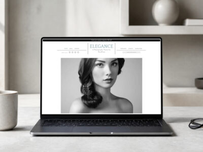 elegance pro wordpress theme and responsive website template