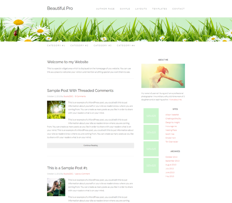 beautiful pro wordpress theme website preview