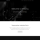 parallax pro wordpress theme website preview